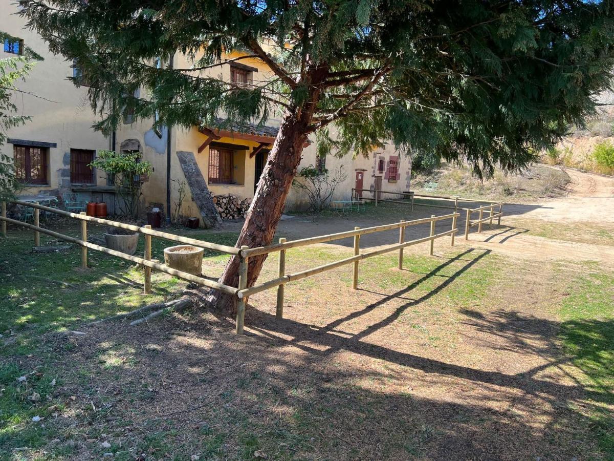 Ca L'Herbolari - Cozy Newly Renovated House Ca L'Herbolari Viladrau Buitenkant foto