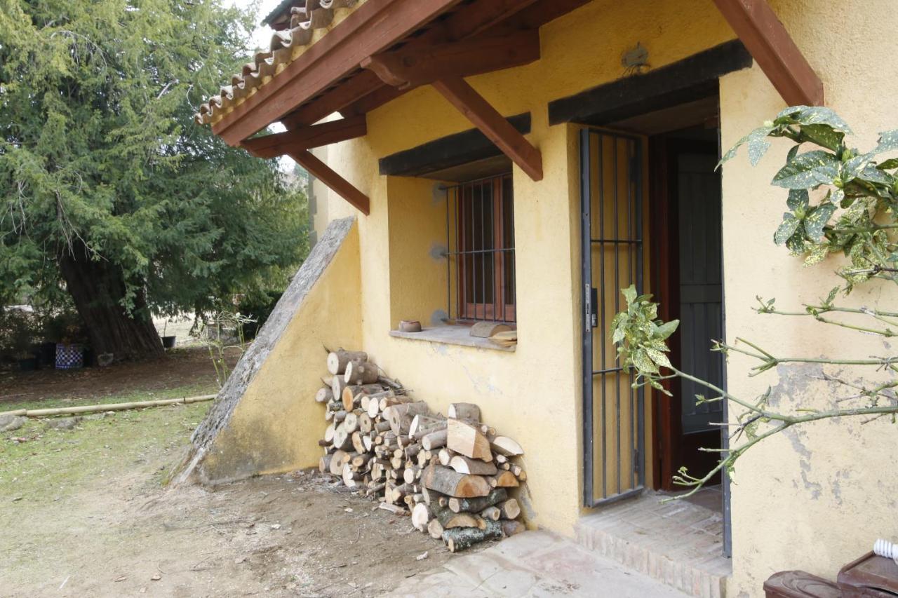Ca L'Herbolari - Cozy Newly Renovated House Ca L'Herbolari Viladrau Buitenkant foto